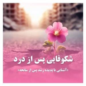 رشد-پس-از سانحه